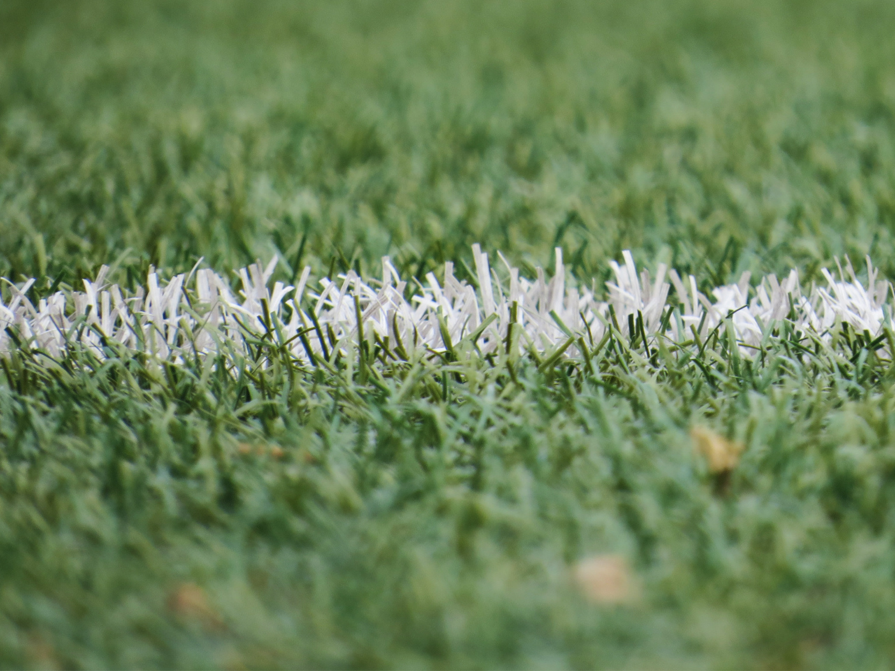 Faustballspieltage 2026/27